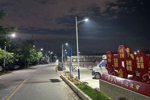 乐动（中国）集团罗宁弟爱心捐赠路灯，点亮乡村路温暖乡民心
